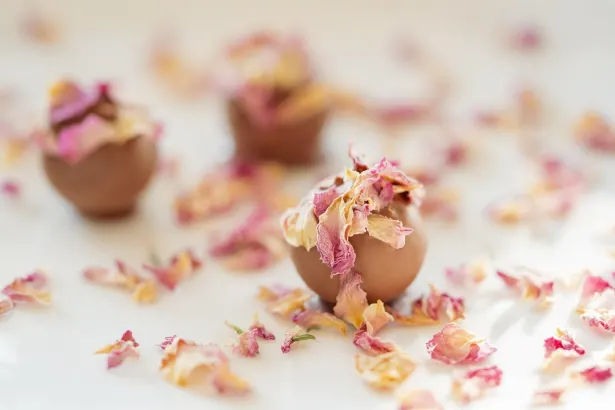 Pelican Casino Android/iOS Forrit